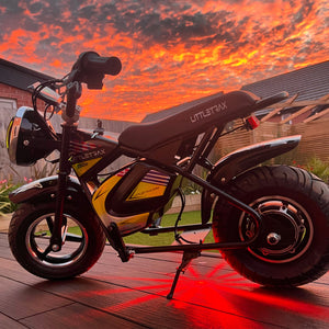 NEW LittleTrax Kids Electric Monkey Bike 350w Dirt bike ride on toy similar to 50cc off road bike - Littletrax Kids Electric Bikes