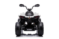 Can-Am Maverick 24V Kids Electric Ride On Quad ATV Renegade
