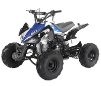 Xmas Pre Order - PANTHER 110cc KIDS QUAD BIKE - MotoX1 Motocross ATV 