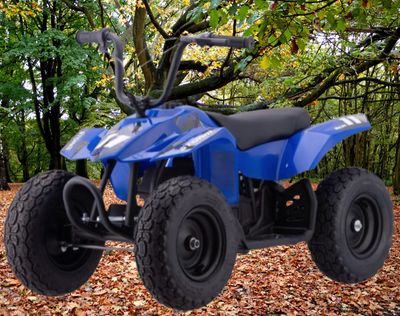 250w Kids Ride On Electric Mini Quad Bike - MotoX1 Motocross ATV 