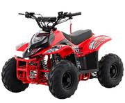 Kids 70cc Automatic VRX70 Quad Bike