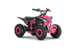 MINI KLF 50CC RACER-PRO KIDS ELITE 2026 PETROL QUAD BIKE - image 2