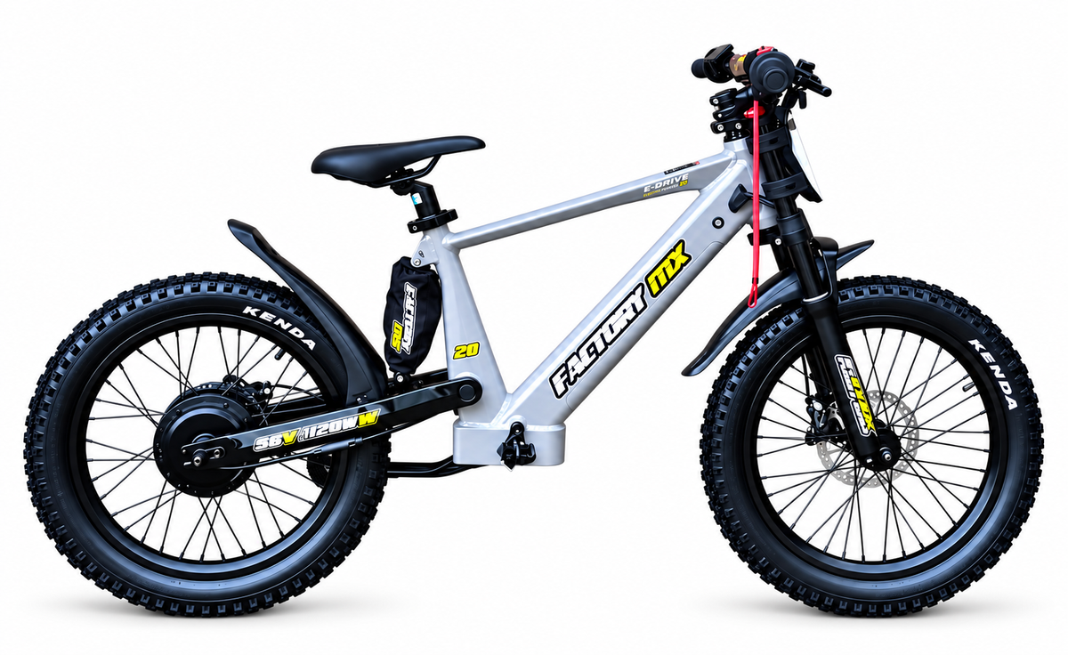 mx-e-drive-20-custom-pro – Grey Frame Black Swing Arm