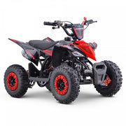 MX1 XTM Monster 50cc Petrol Quad Bike