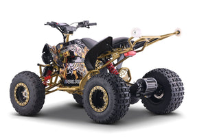 Spider-Pro 72v 50ah 5000w Adult Electric Quad Bike - image 5