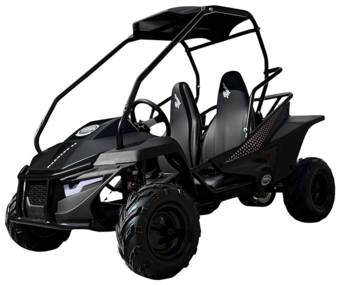 Hammerhead Mudhead 208R SE Kids Off Road Buggy - Black