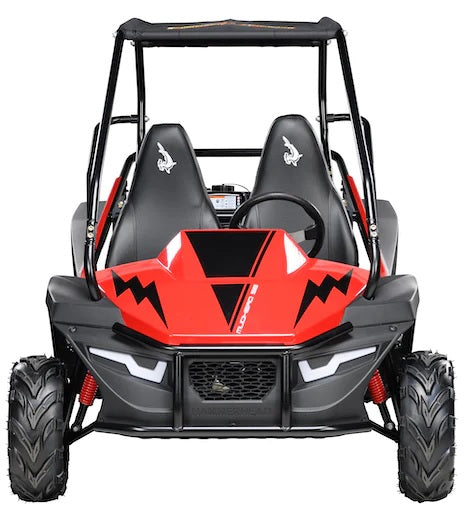 Hammerhead Mudhead 208R SE Kids Off Road Buggy - detail