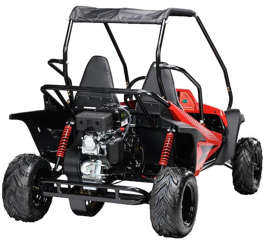 Hammerhead Mudhead 208R SE Kids Off Road Buggy - detail