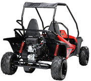 Hammerhead Mudhead 208R SE Kids Off Road Buggy - detail