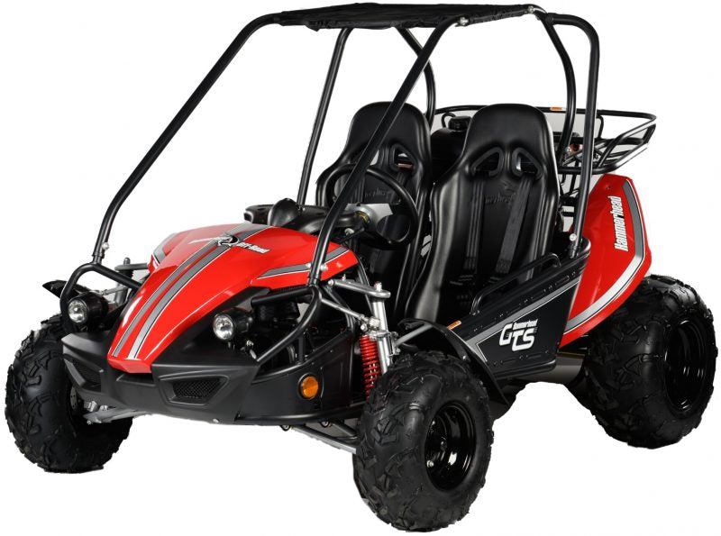 Hammerhead GTS150 Off Road Buggy - detail