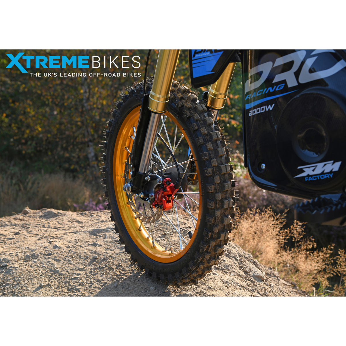 MX1 XTM MXPRO 48V 2000W Lithium Electric Dirt Bike Big 14/12" Gold Wheel