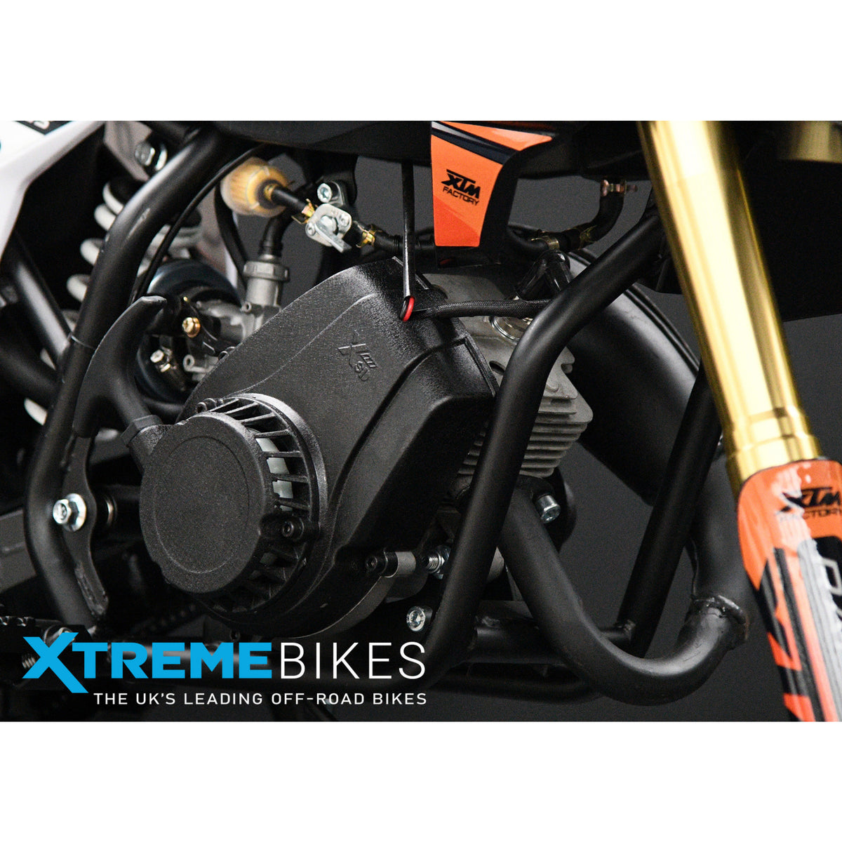 MX1 XTM MX60 Racing 60cc Dirt Bike 12/10"