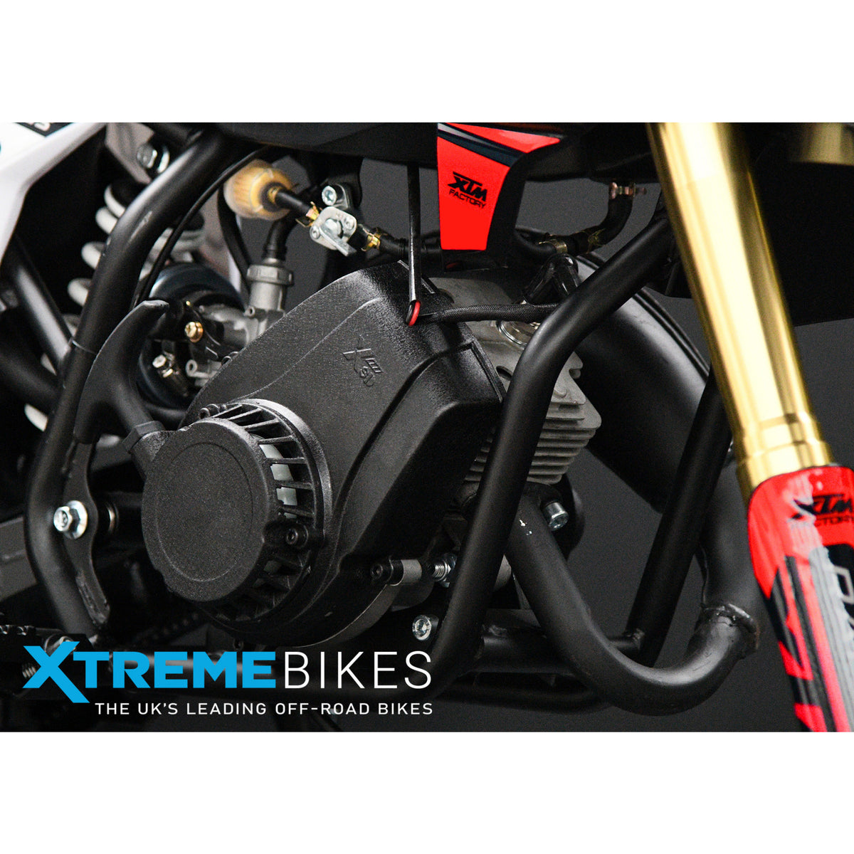 MX1 XTM MX60 Racing 60cc Dirt Bike 12/10"